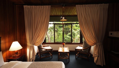Superior Room, 2 Queen Beds