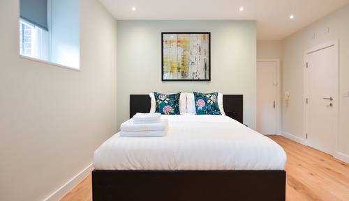 Lower Ground Floor Deluxe Studio