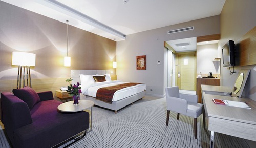 Habitación ejecutiva, 1 cama de matrimonio grande, no fumadores