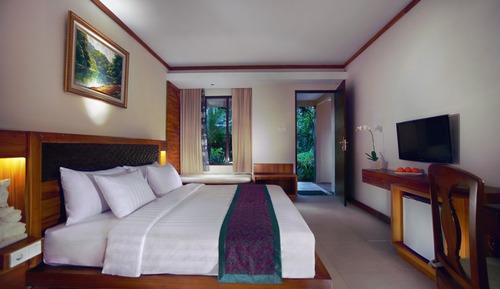Habitación Deluxe, vistas al jardín