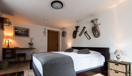 Habitación estándar con 1 cama doble o 2 individuales, baño privado