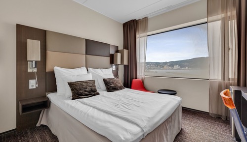 Habitación estándar doble, 1 cama doble