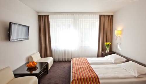 Habitación estándar, 1 cama de matrimonio