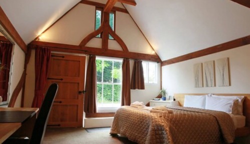 Habitación Business doble, 1 cama de matrimonio grande, vistas al jardín