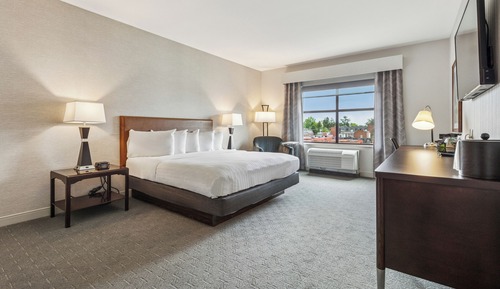 Habitación ejecutiva, 1 cama de matrimonio grande