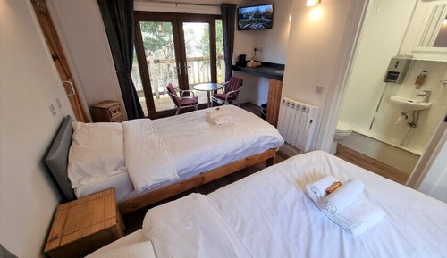 Habitación estándar con 2 camas individuales, vistas a la montaña