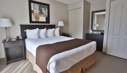 Suite ejecutiva, 1 cama de matrimonio grande