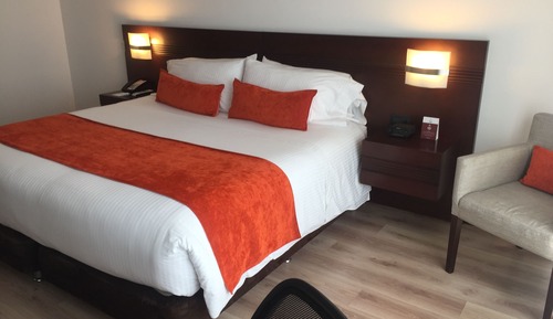 Habitación estándar, 1 cama de matrimonio grande, no fumadores