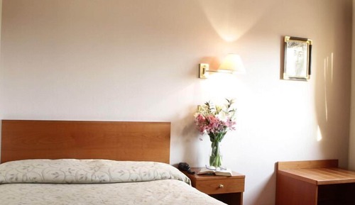Habitación individual básica, vistas al jardín