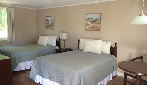 Habitación estándar, 2 camas dobles