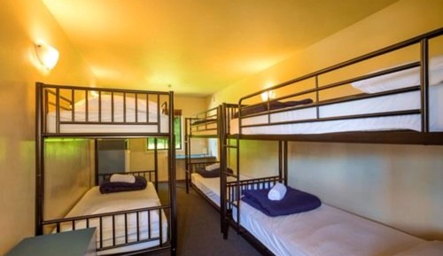 Dormitorio compartido estándar (4 Bed Dorm with ensuite)