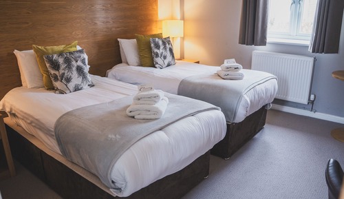 Habitación Deluxe con 2 camas individuales