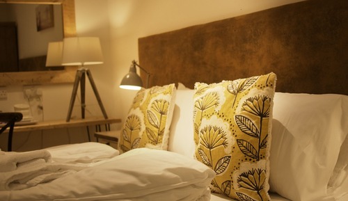 Habitación con 1 cama doble o 2 individuales (Dog Friendly Room)