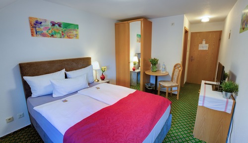 Habitación económica con 1 cama doble o 2 individuales