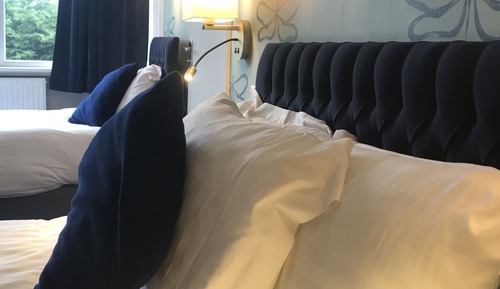Suite, baño privado (2 Adults & 1 Child)