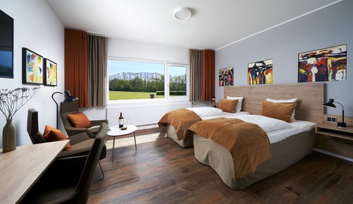 Habitación Deluxe con 1 cama doble o 2 individuales
