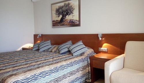 Habitación Deluxe doble, vistas al jardín