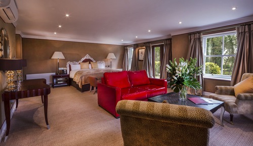 Suite, vistas al lago (Twin)
