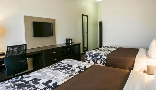 Habitación estándar, 2 camas de matrimonio, no fumadores
