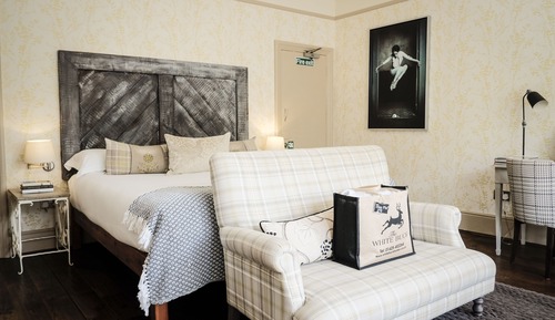 Suite junior, 1 cama de matrimonio grande