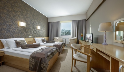 Habitación estándar con 2 camas individuales