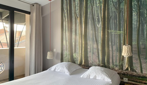 Habitación superior con 1 cama doble o 2 individuales