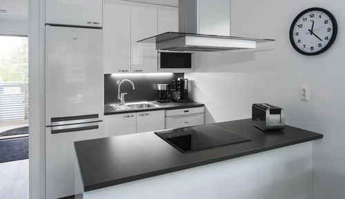 Apartamento, 2 habitaciones, sauna (1 Annex 53m2)