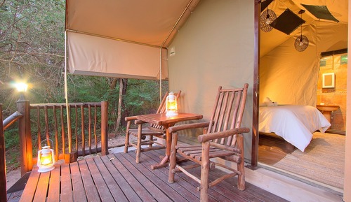 Safari Tent Room