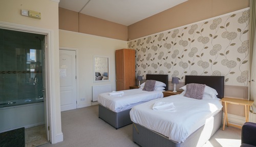 Habitación Deluxe con 1 cama doble o 2 individuales, baño privado (Deluxe Double/Twin)