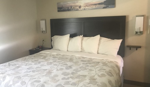Suite estándar, 1 cama de matrimonio grande con sofá cama, no fumadores, microondas