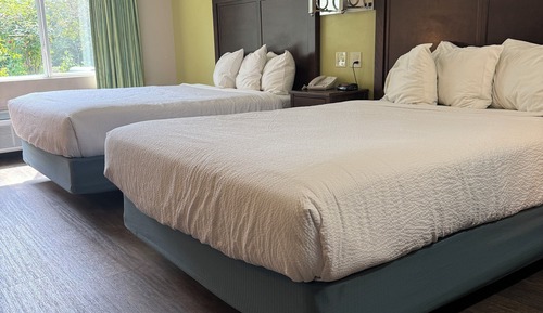 Habitación estándar, 2 camas de matrimonio, no fumadores, microondas (Lodge)