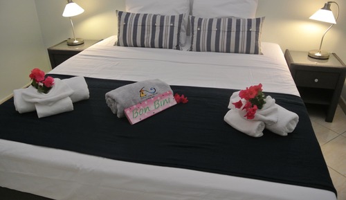 Suite, 1 cama doble, no fumadores