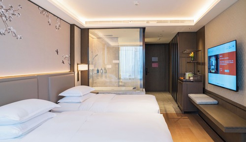 Habitación ejecutiva, 2 camas individuales