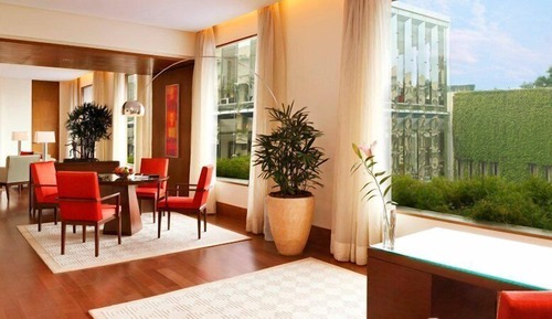 Suite de lujo