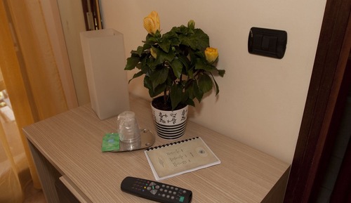 Habitación económica, 1 habitación