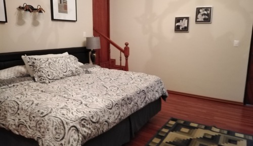 Suite estudio junior