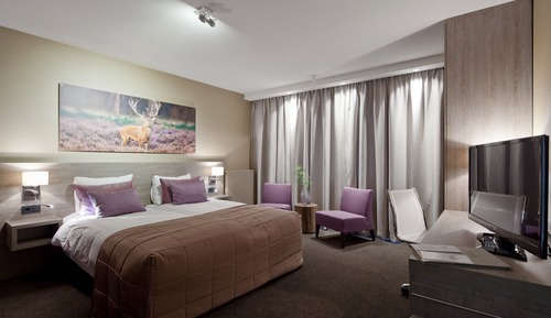 Comfort Plus Room