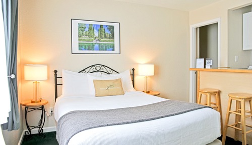 Suite Deluxe, 1 cama de matrimonio, cocina básica (Pet Friendly)