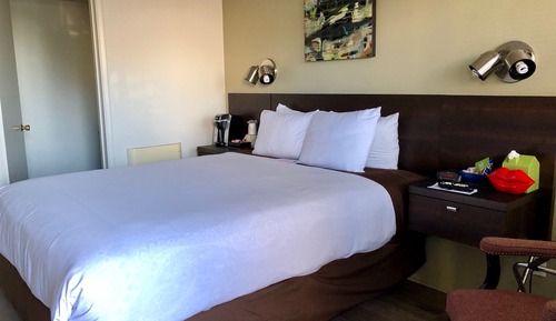 Habitación estándar, 1 cama de matrimonio, patio (Pet Friendly, Rooms 5, 6, 7 & 8)
