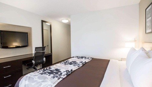 Habitación estándar, 1 cama de matrimonio grande, no fumadores