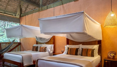 Rainforest Comfort Twin Room 
