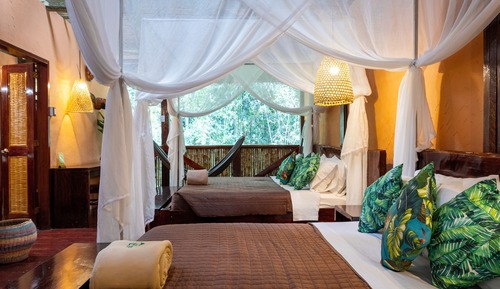 Amazon Suite