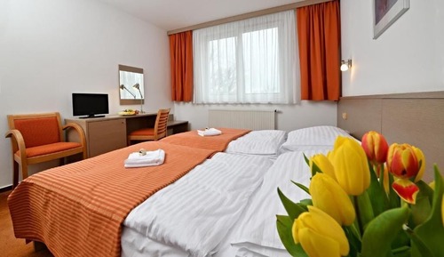 Habitación estándar