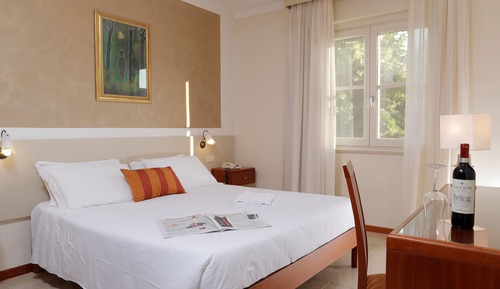 Habitación estándar con 1 cama doble o 2 individuales