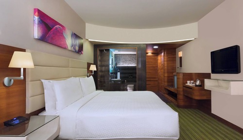 Habitación, 1 cama de matrimonio grande