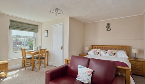 Habitación Premier, 1 cama de matrimonio grande, baño privado