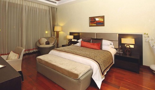 Suite Premium