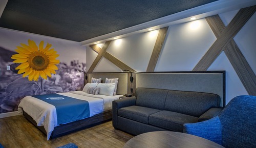 Habitación clásica, 1 cama de matrimonio