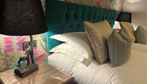 King Room (Not Pet Friendly)