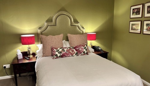 King Room (Not Pet Friendly)